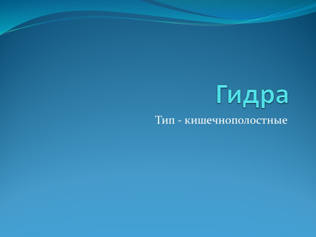 Kraken whitenet ссылка тор